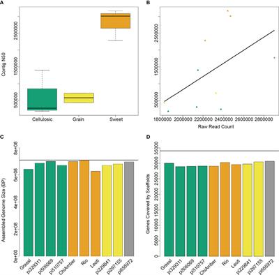 Ten new high-quality genome assemblies for diverse bioenergy sorghum genotypes